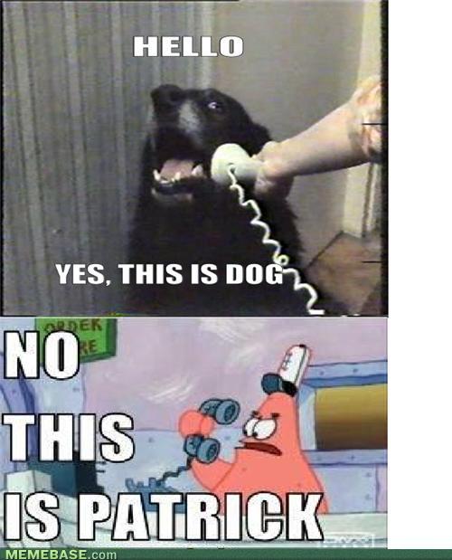 Bilder-Thread tBhqbWU internet-memes-pat-dog