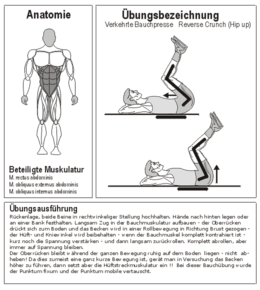 bauch 03