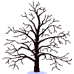 G4HYWB Jahreszeiten Baum