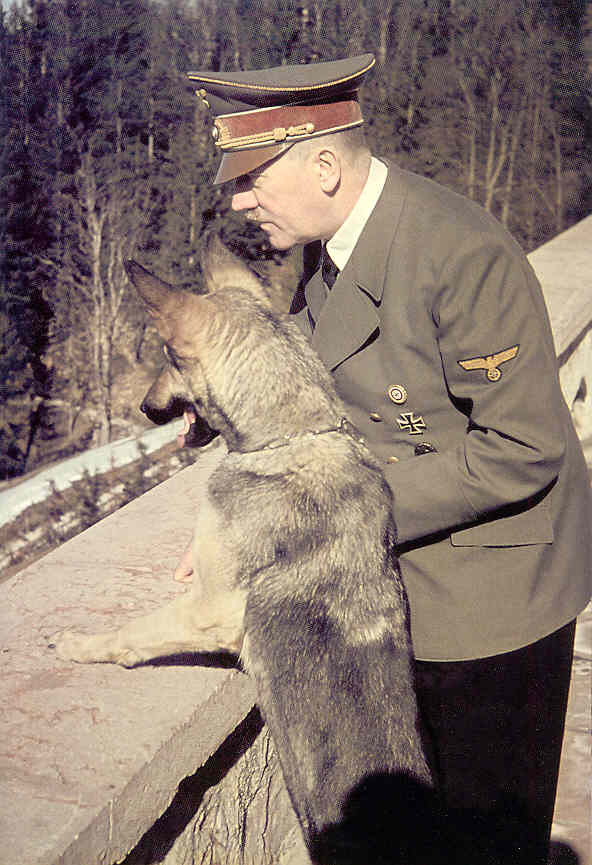 pt-2401-hitler-blondi-75dpi