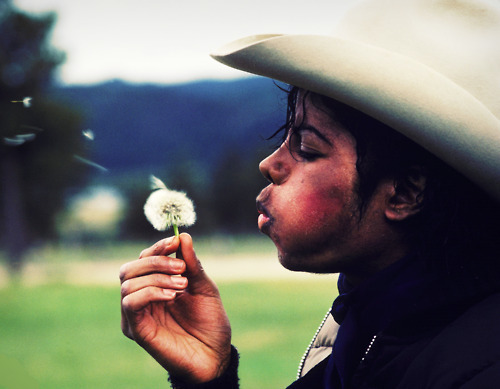 Beautiful-dreamer-michael-jackson-187432