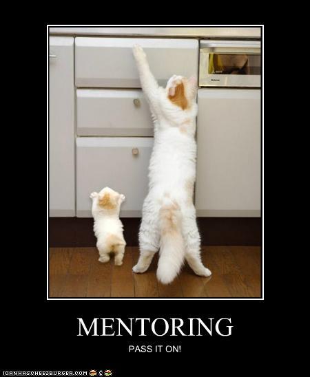 Bilder-Thread tD0qt2z funny-pictures-mentoring