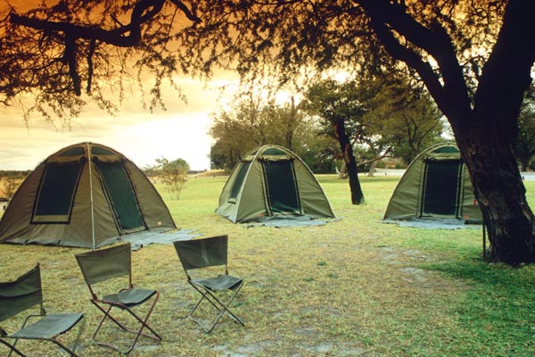 Maun Camp