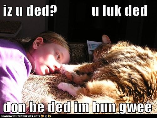 Bilder-Thread tD5LiBm funny-pictures-iz-u-ded-u-luk-ded-don-be