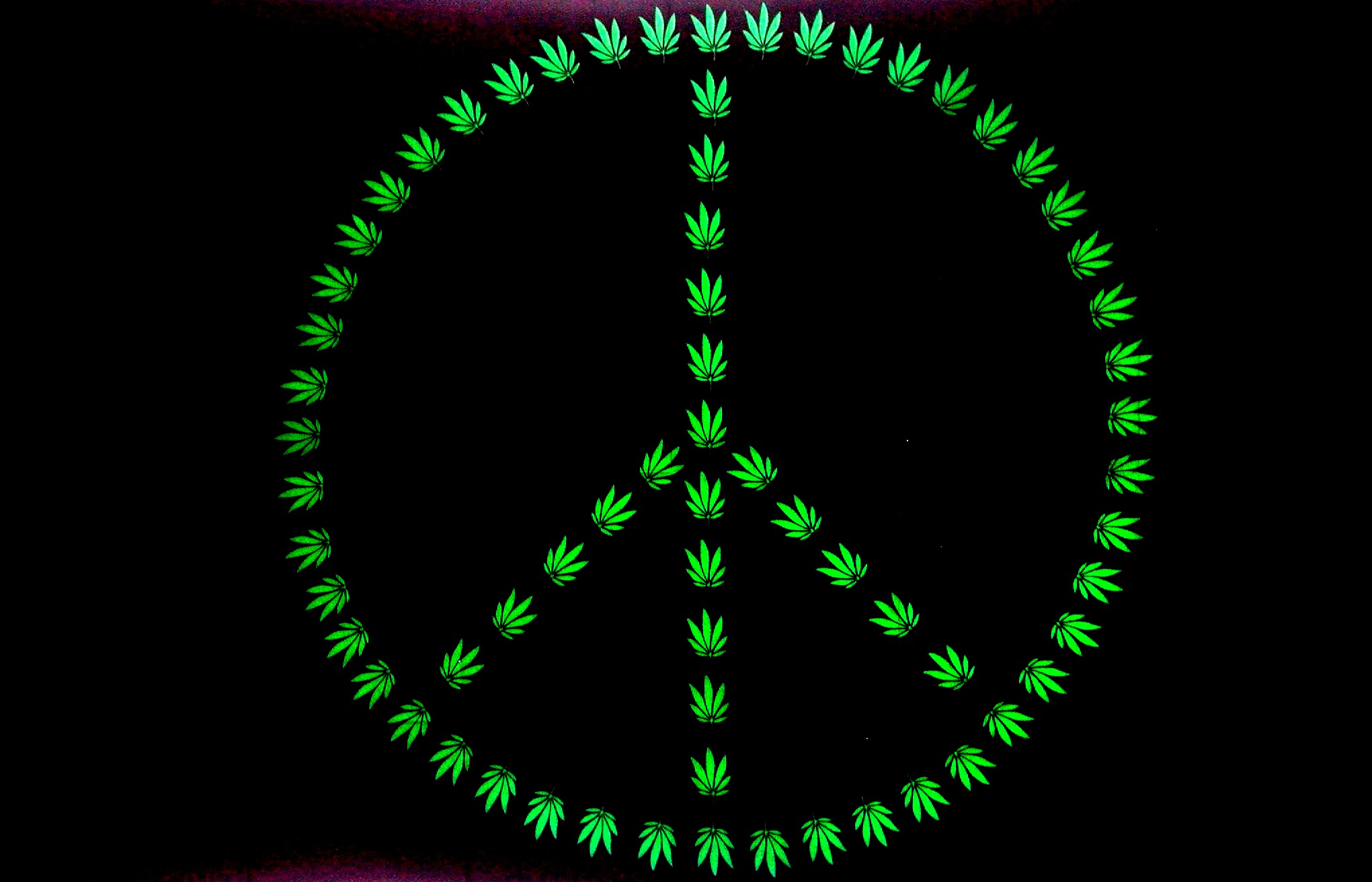 Bilder-Thread tDIFBHZ marijuana peace