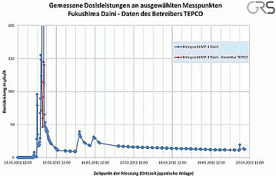 japan daini messungen 20 grs sardog