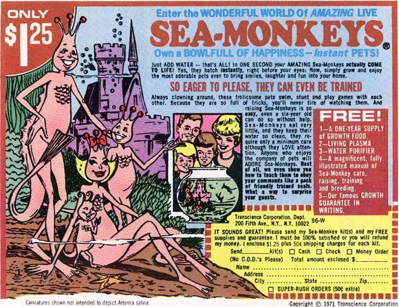 seamonkeys