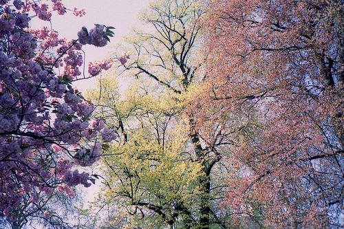 Bilder-Thread tDzE44N 1506 f991.jpeg
