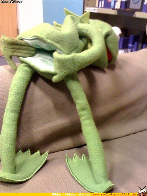 ta0Phlr kermit goatse - kermitse