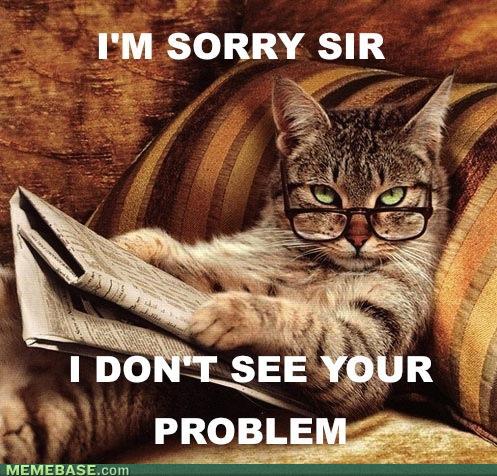 Bilder-Thread tEQQxaN memes-smart-ass-cat-i-dont-see-your-prob