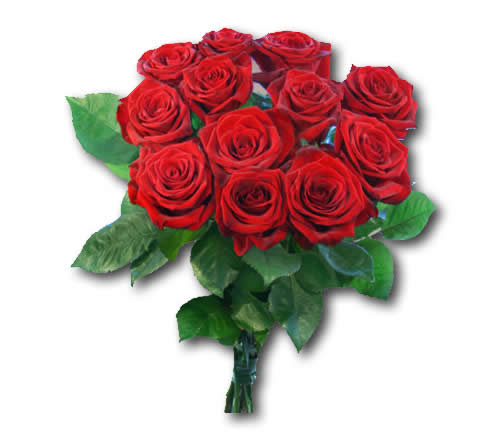 Rote Rosen Spiele Rote Rosen Spiele