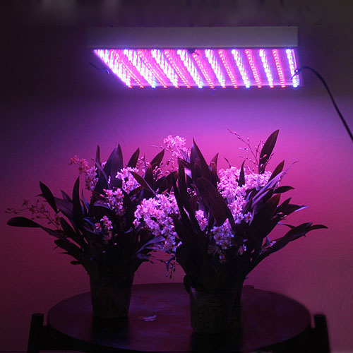 led-grow-lights