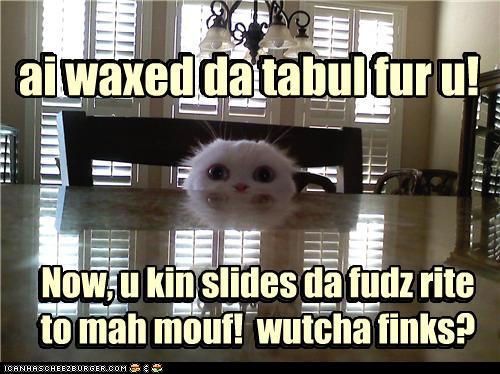 Bilder-Thread tF4EQLP funny-pictures-dis-mah-own-idee-n-ebryti
