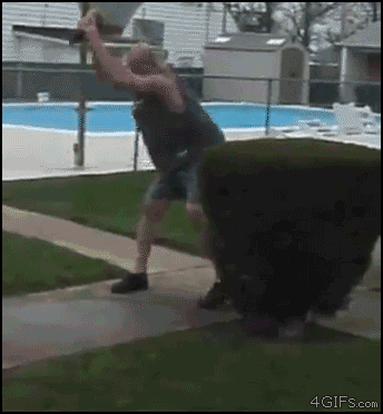 Bilder-Thread tFFkQlI funny gif selection 22