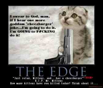 wsgZ0U the-edge-kitten-suicide-lolcat-da