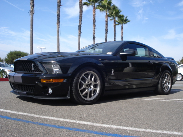 shelby gt500 for sale shelby gt 500 for 