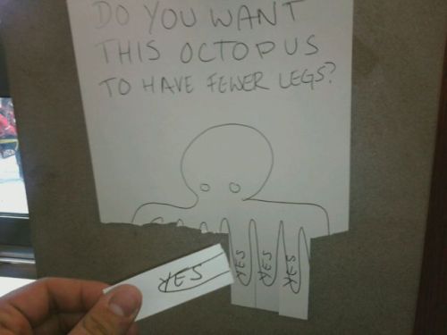 Bilder-Thread tFoW2YJ Random-Funny-Photos-Part-160 39