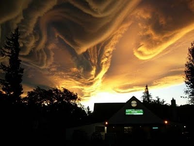 asperatus01