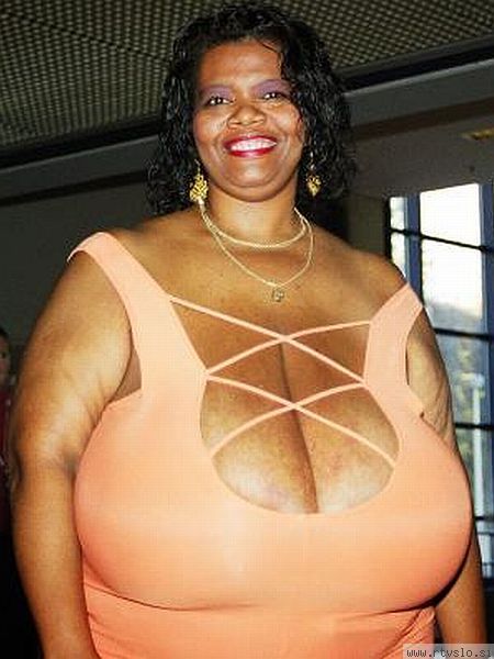 64588908 norma stitz show