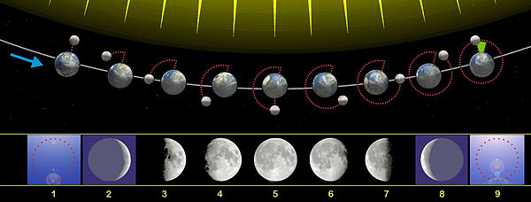 600px-Moon phases 00