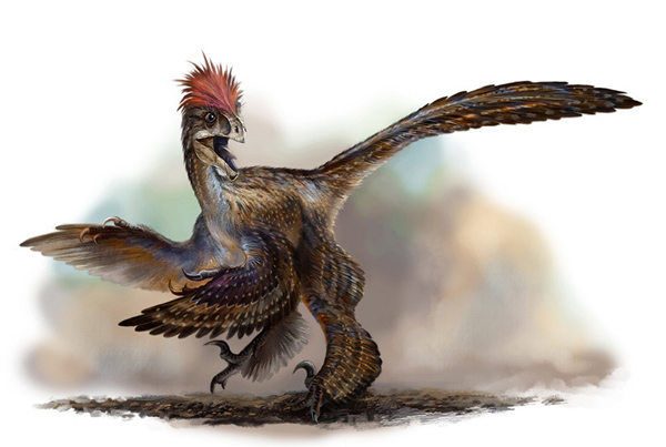 anchiornis huxleyi by cheungchungtat-d31