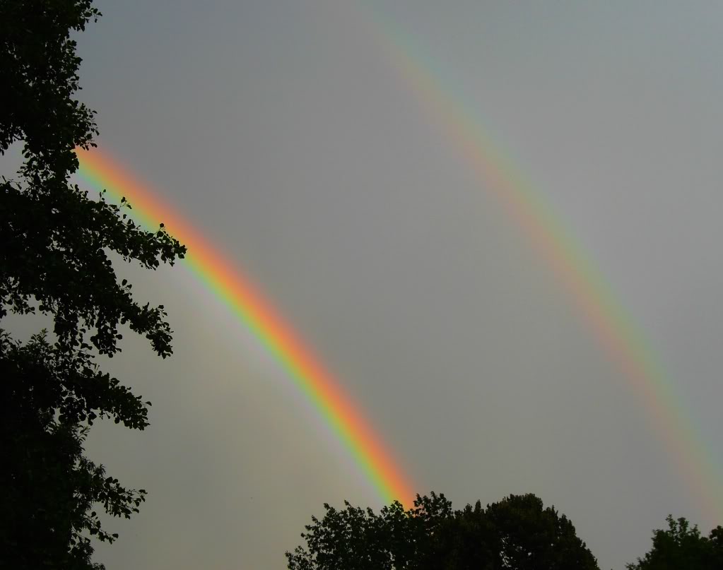 Bilder-Thread tHtiqiA doublerainbow