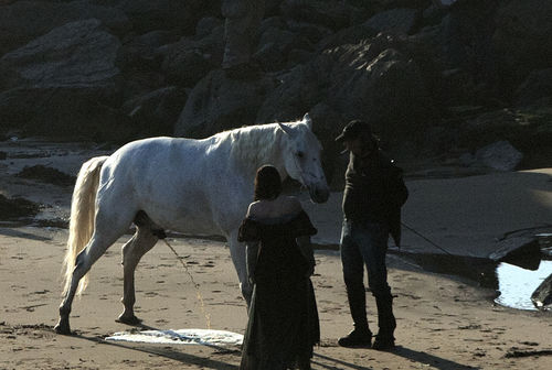 kristen-stewart-guckt-einen-pferd-beim-p