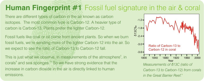 fingerprint11