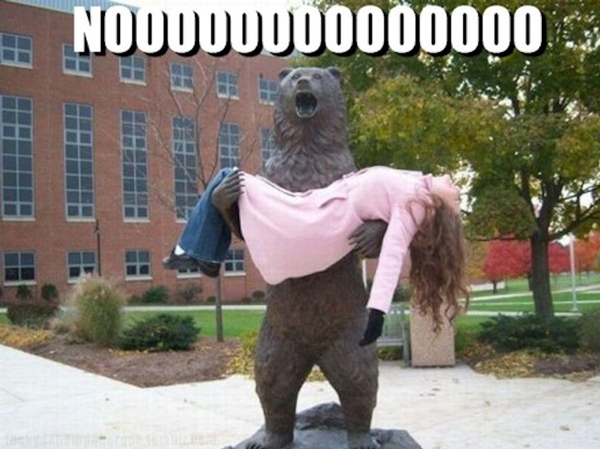 Bilder-Thread tIMn49e funny-bear-statue-no