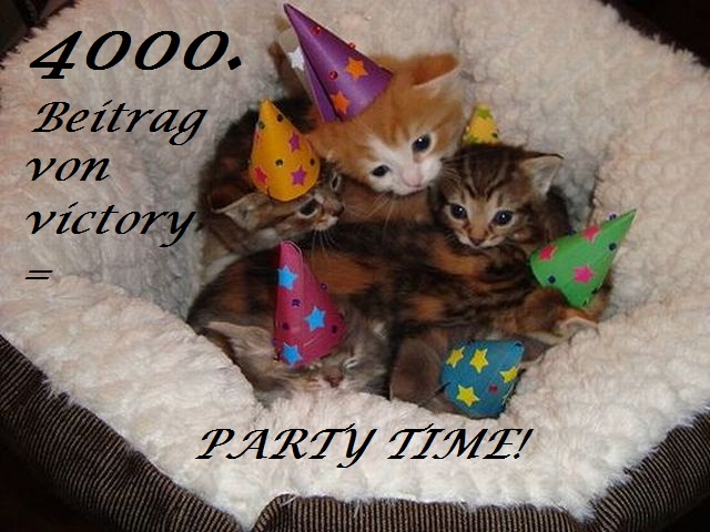 KxHmcK Kitten-party-hats