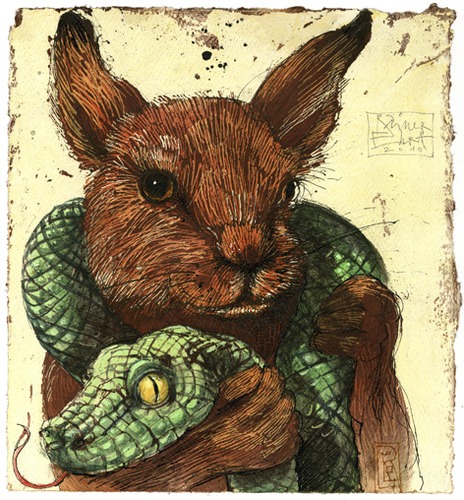 rabbit and snake 1058105