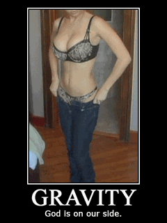 2656696 large