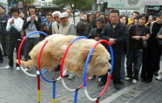 Bilder-Thread tJ9wQ9v KMDN-Daily-PicDump-No.118 34