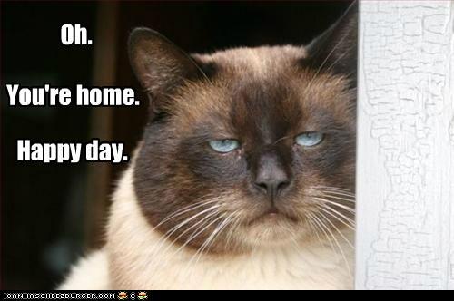 Bilder-Thread tJcLNW9 funny-pictures-th-thanks-i-think
