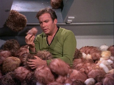 yTC2XM tribbles