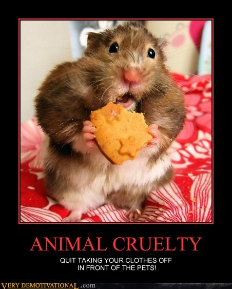 Bilder-Thread tKLqOer demotivational-posters-animal-cruelty