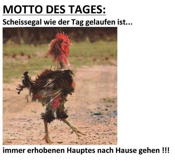 Bilder-Thread tKWEIlk EmoBeg 385859 245002738899829 2015115832