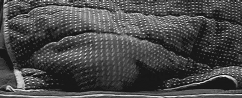 Bilder-Thread tKewG9e c4dd0da65aec13a3a7bc7a9ba5c4febaf841fe6d