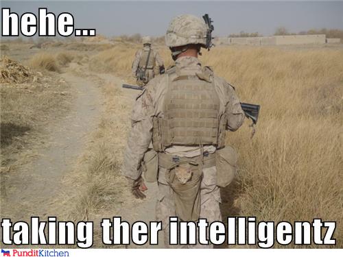 Bilder-Thread tKl8ZD9 political-pictures-soldiers-kitten-intel