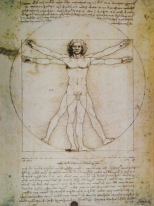 Leonardo Vinci Vitruvian Man Mann Kreis 