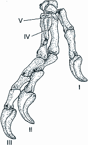 MXK3M8 sij61-1d