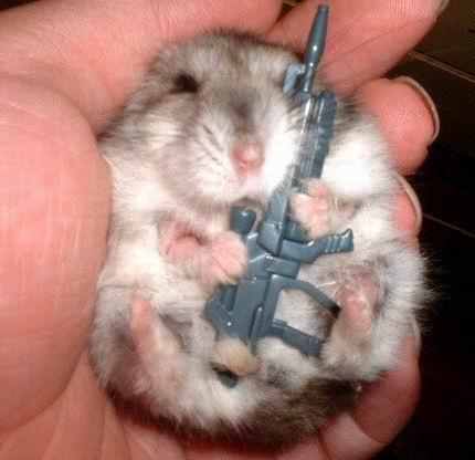 2ZXCHn hamster with gun1