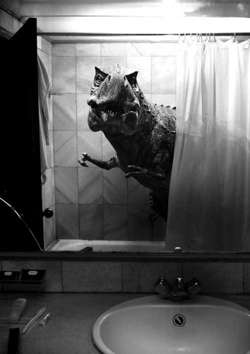 Bilder-Thread tLmWeLy 3619 5a85.jpeg