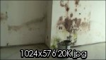 dsc00000006.th