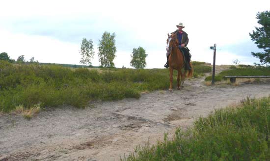 550wanderreiten lueneburg