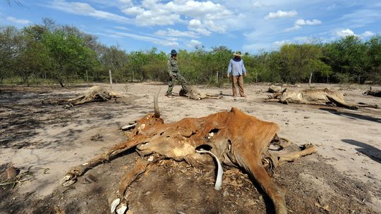 Bilder-Thread tMyyk23 duerre-paraguay-540x304
