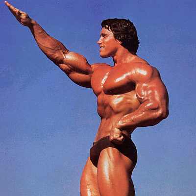 gg574431256468693arnold20schwarzenegger2