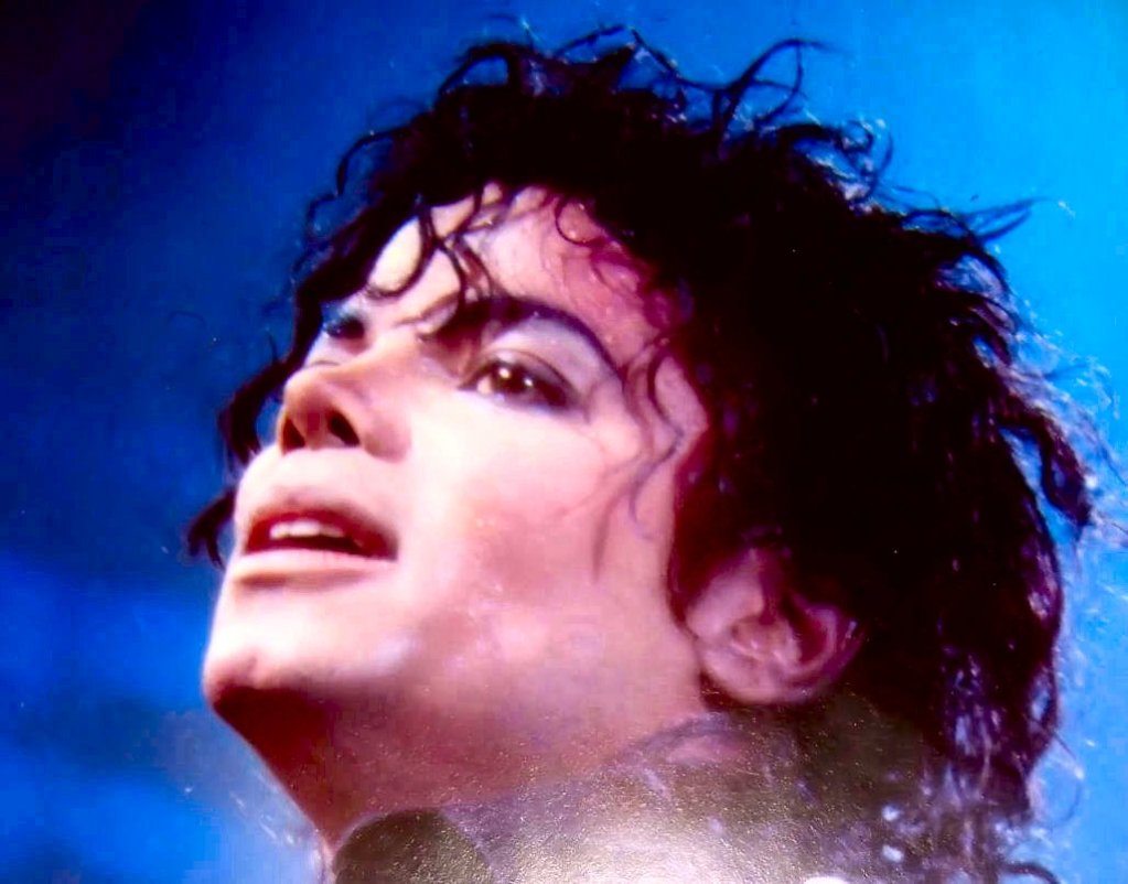 Superb-michael-jackson-15842208-1027-805