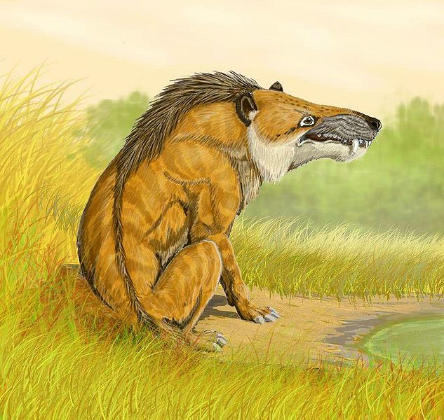 633px-Andrewsarchus DB