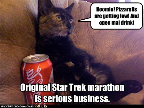 Bilder-Thread tNioypk funny-pictures-like-a-boss